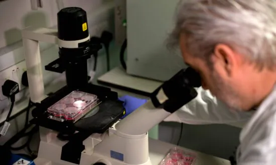 Second Inquiry Into Queensland DNA Testing Launched