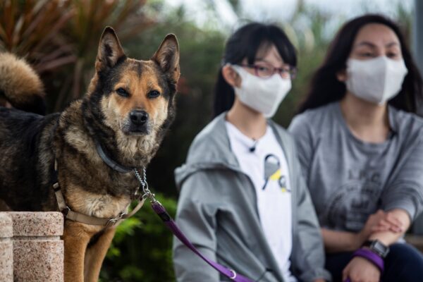 HONG KONG-HEALTH-VIRUS
