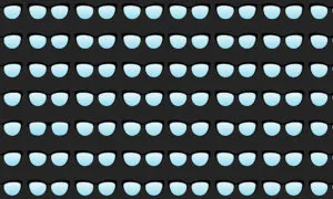 Can You Find the Odd Pair in this Picture Puzzle? You’ll Need Eagle Eyes to Get #5