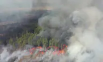 New Fires Fanned by Strong Winds Flare Near Chernobyl in Ukraine