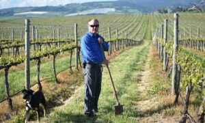 Australia's Food Supply Secure Amid Virus