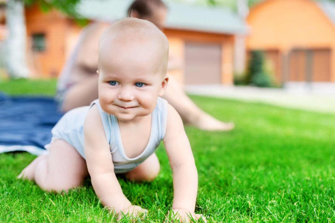 Grow a lush lawn without concern for what might be on it. (Gorlov-KV/Shutterstock)