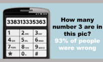 Eagle-Eyed Netizens Only: How Many Number 3s Can You Count in This Puzzle?