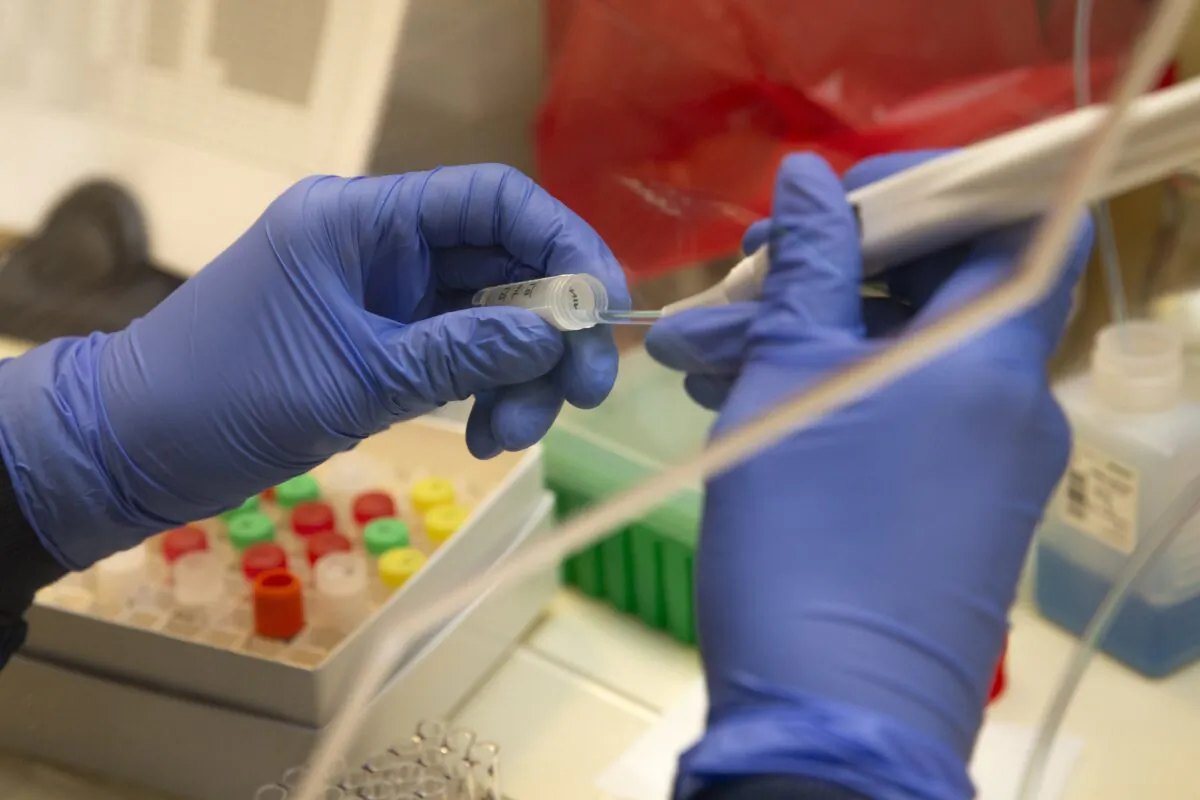 A medical laboratory scientist runs a clinical test in the Immunology lab at UW Medicine looking for antibodies against SARS-CoV-2, a virus strain that causes COVID-19, in Seattle, Washington on April 17, 2020. (Karen Ducey/Getty Images)
