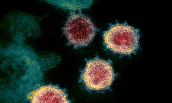 New Study Finds CCP Virus Cells Can Stay on Skin for 9 Hours