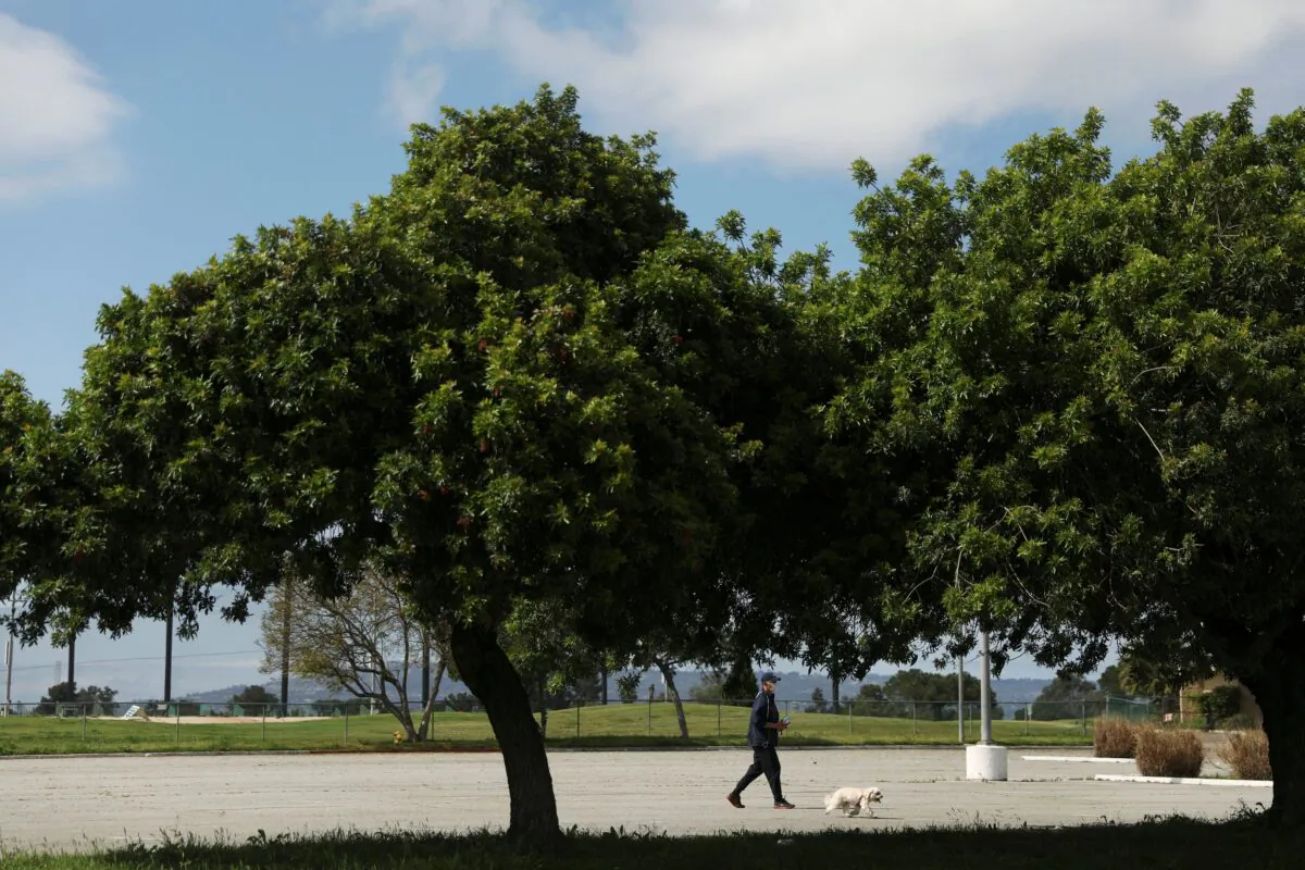 A pedestrian wearing a mask with their dog in the parking lot of a closed Victoria Golf Course as authorities encourage social distancing to prevent the spread of CCP virus in Carson, California on April 18, 2020. (Patrick T. Fallon/Reuters)