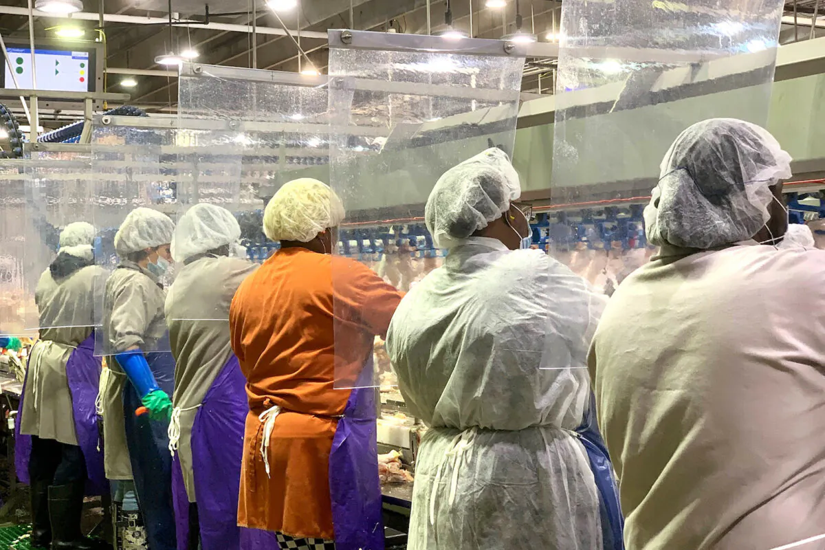 Tyson Foods are workers wearing protective masks and standing between plastic dividers at the company’s Camilla, Georgia poultry processing plant. Tyson added the plastic dividers to create separation between workers because of the CCP virus outbreak. (Tyson Foods/AP)