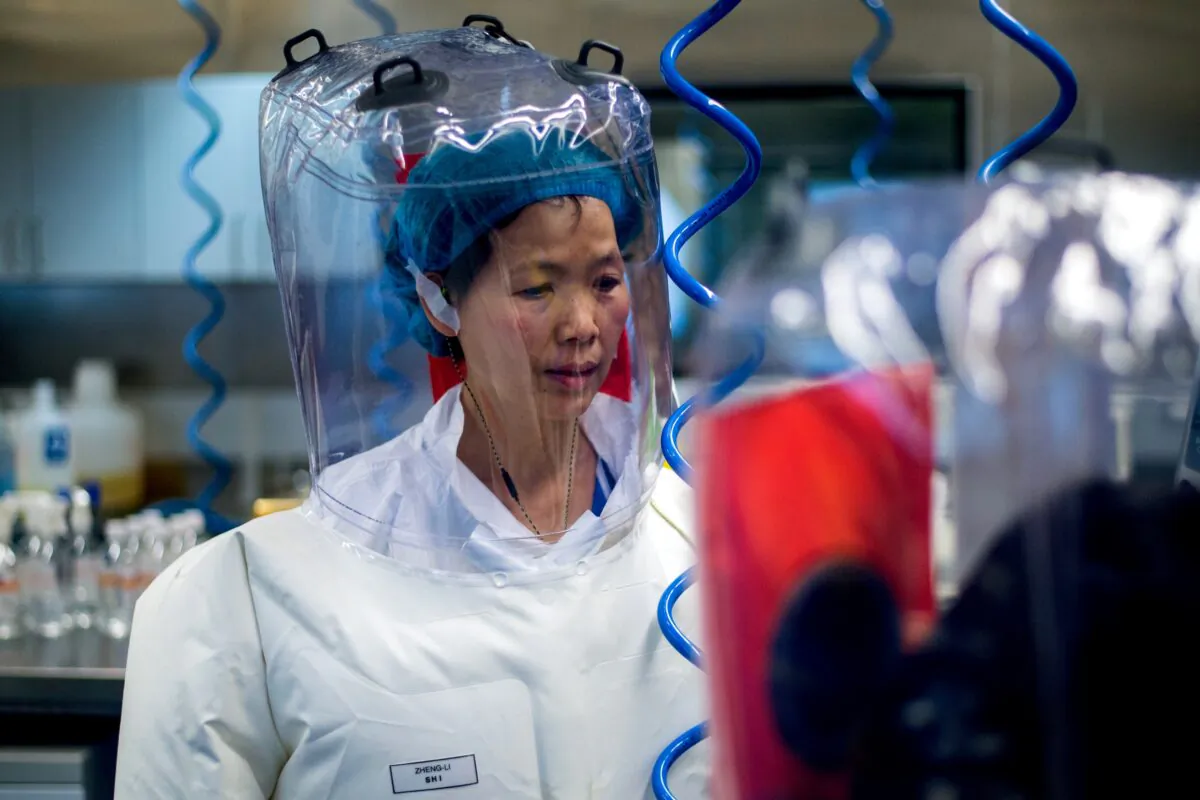 Chinese virologist Shi Zhengli is seen inside the P4 laboratory in Wuhan city, Hubei Province, on Feb. 23, 2017. (Johannes Eisele/AFP via Getty Images)
