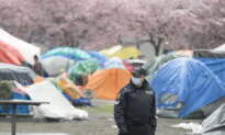Gangs Change Tactics as Borders Closed, COVID-19 Impacts