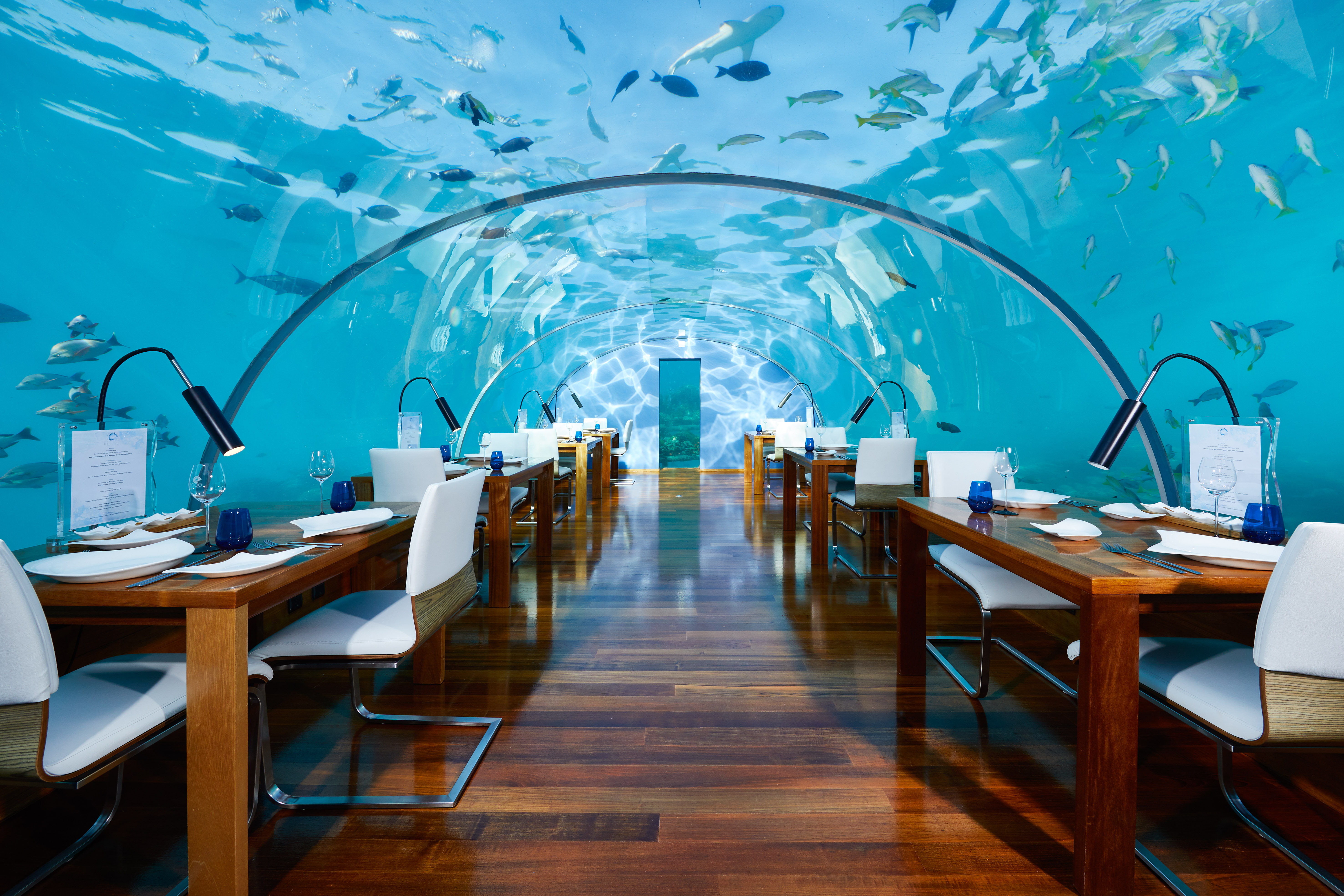 CONRAD MALDIVES RANGALI ISLAND_F_B_Ithaa Undersea Restaurant_Hero_credit Justin Nicholas