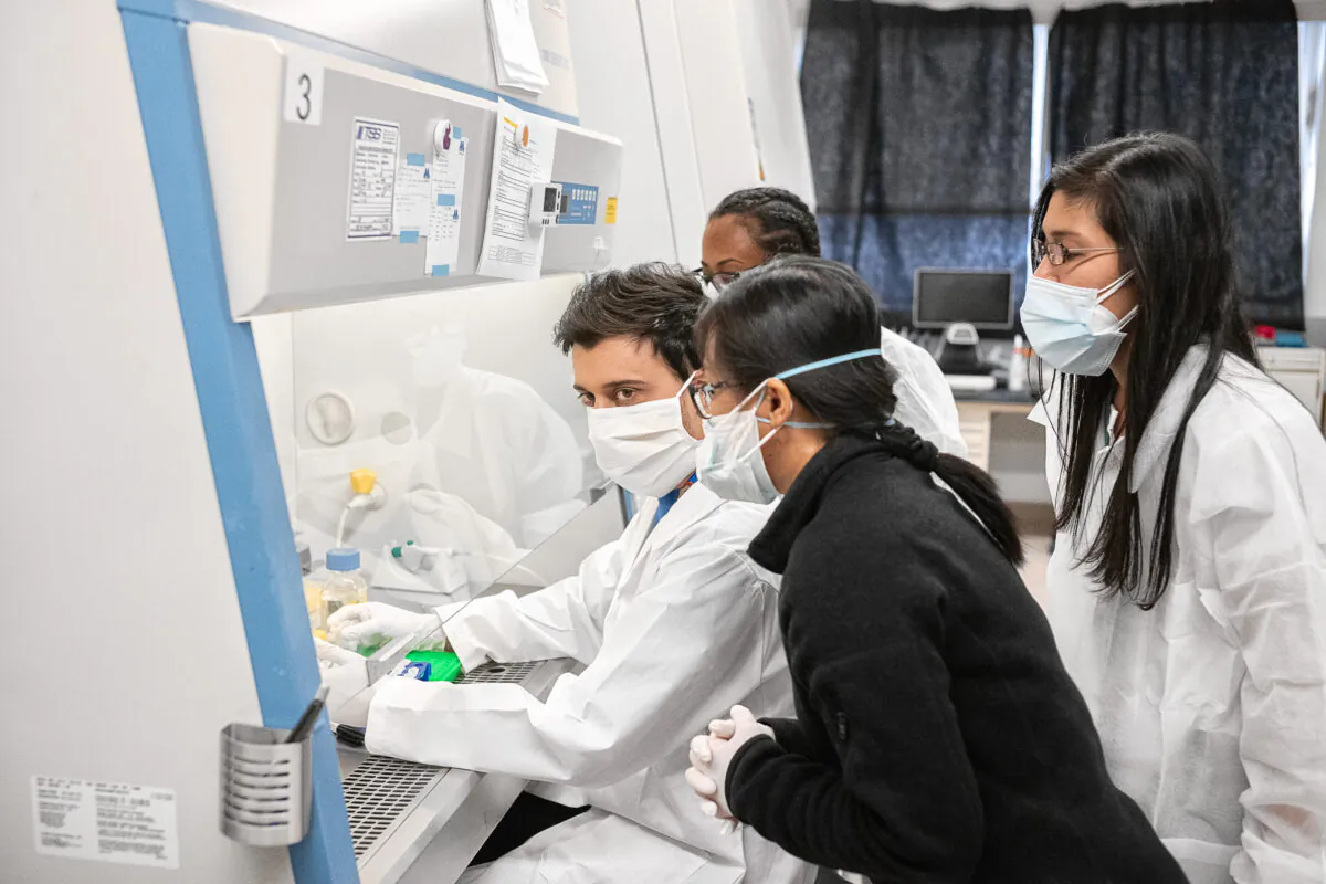 Mirimus, Inc. lab scientists work to validate rapid IgM/IgG antibody tests of COVID-19 samples from recovered patients in the Brooklyn borough of New York City on April 10, 2020. (Misha Friedman/Getty Images)