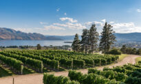 Okanagan Valley: The Edge of Viticulture