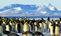 Travel Virtually to These 10 Exotic Locales While Quarantined