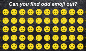 Are You in the Smartest 3 Percent? Spot the Odd One Out in This 3-Part Puzzle