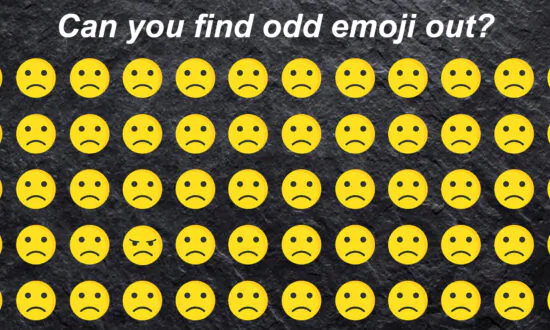 Are You in the Smartest 3 Percent? Spot the Odd One Out in This 3-Part Puzzle