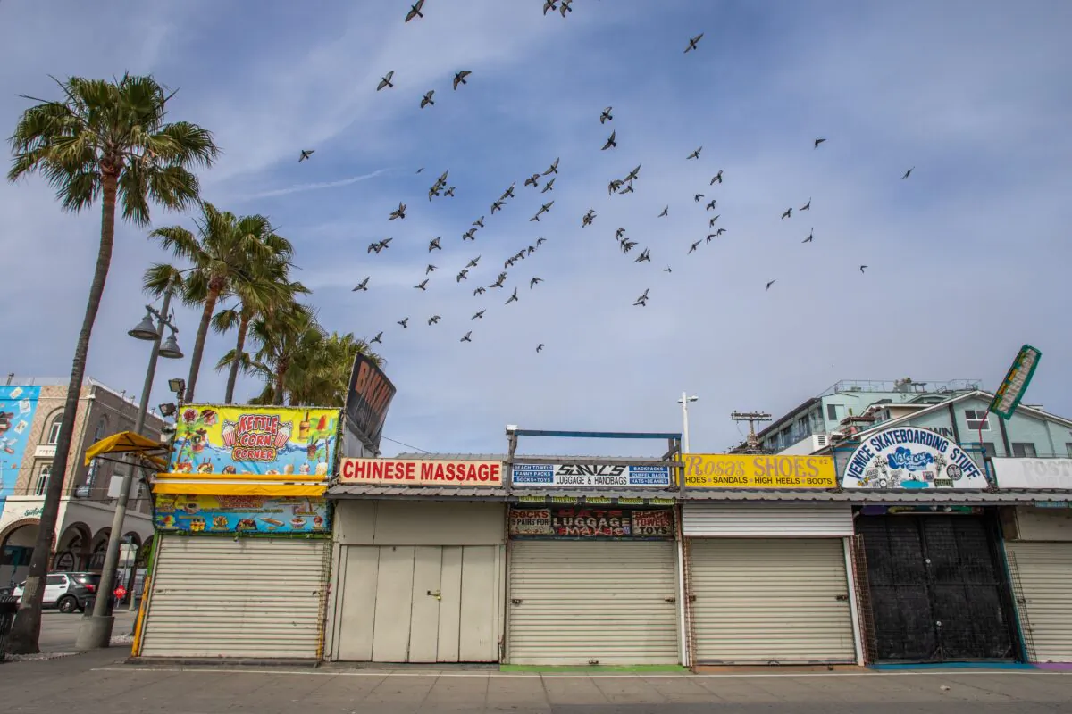 Pigeons fly over closed stores on the Boardwalk in Venice, Calif. on April 26, 2020. (Apu Gomes/AFP/Getty Images)