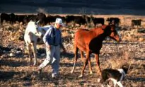 Ranchers Sue Over New EPA Waterways Rule, Claiming Bureaucratic Overreach