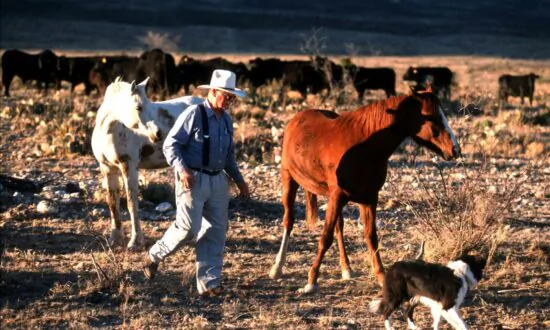 Ranchers Sue Over New EPA Waterways Rule, Claiming Bureaucratic Overreach