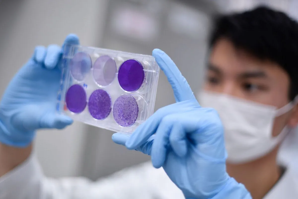 A researcher works on virus replication in order to develop a vaccine against COVID-19, in Belo Horizonte, Brazil, on March 26, 2020. (Douglas Magno/AFP/Getty Images)