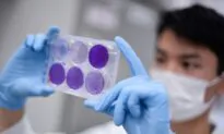 Five-Month-Old Brazilian Baby Survives Coronavirus After 32 Days in Coma
