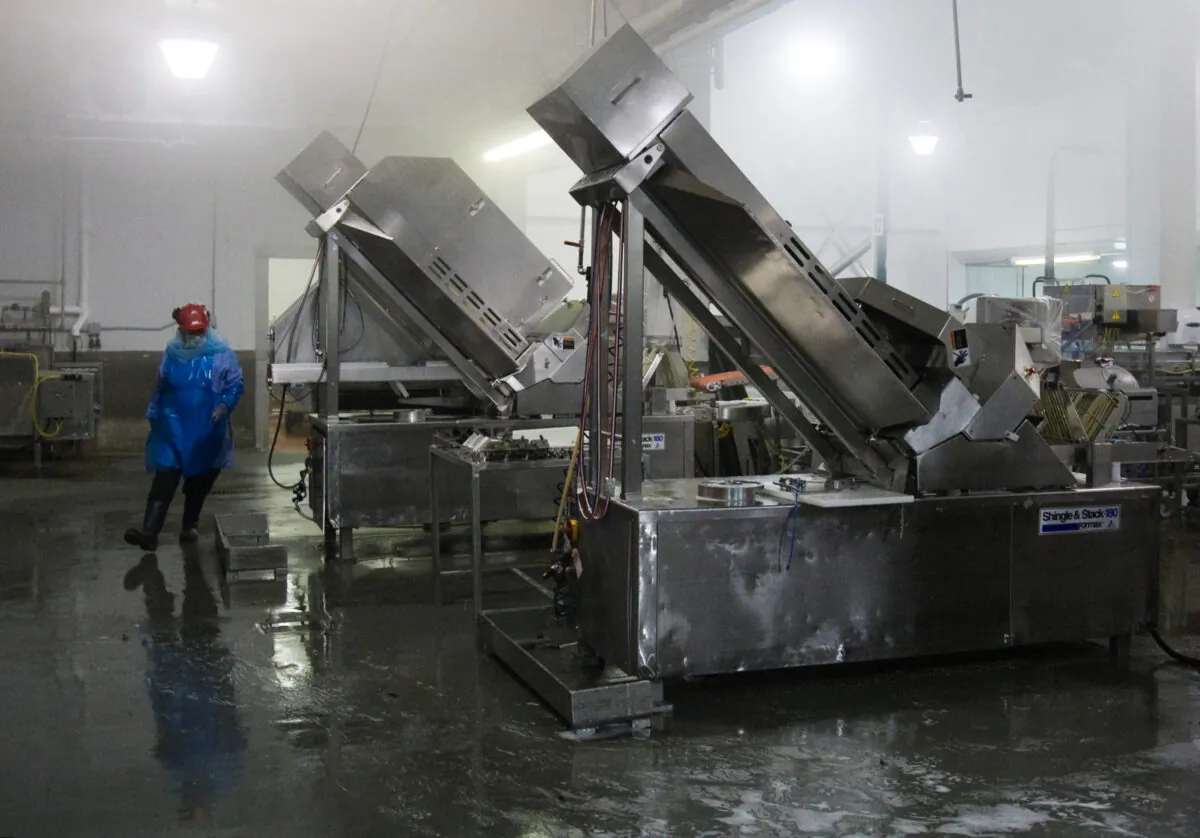 A man works to sterilize meat processing and packaging equipment at the Maple Leaf Foods plant in Toronto on August 21, 2008. (Mark Blinch/File Photo/Reuters)