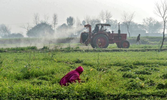 EPA’s Denial of Environmental Group’s Petition to Regulate Pesticide-Coated Seeds Backed by Federal Judge