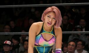 Wrestling and 'Terrace House' Star Hana Kimura, Dies at 22