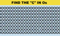 Lockdown Challenge: How Quickly Can You Find the Odd One Out in This Puzzle?