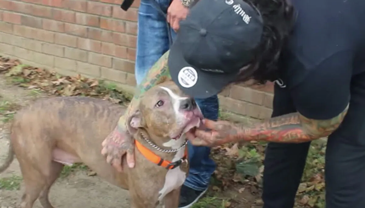 (Courtesy of New York Bully Crew)