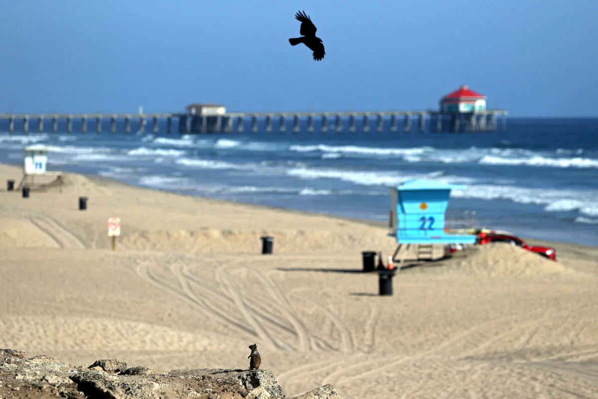 The Huntington Beach Pier in Huntington Beach, California, on May 3, 2020. (Michael Heiman/Getty Images)