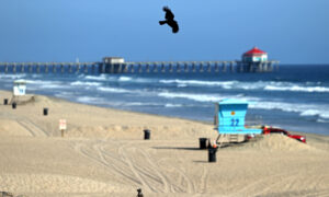 Newsom Approves Reopening of 2 Orange County Beaches for 'Active Recreation'