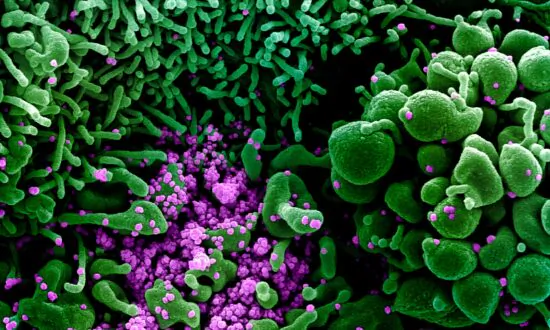 Spanish Man Charged With Infecting 22 People With COVID-19