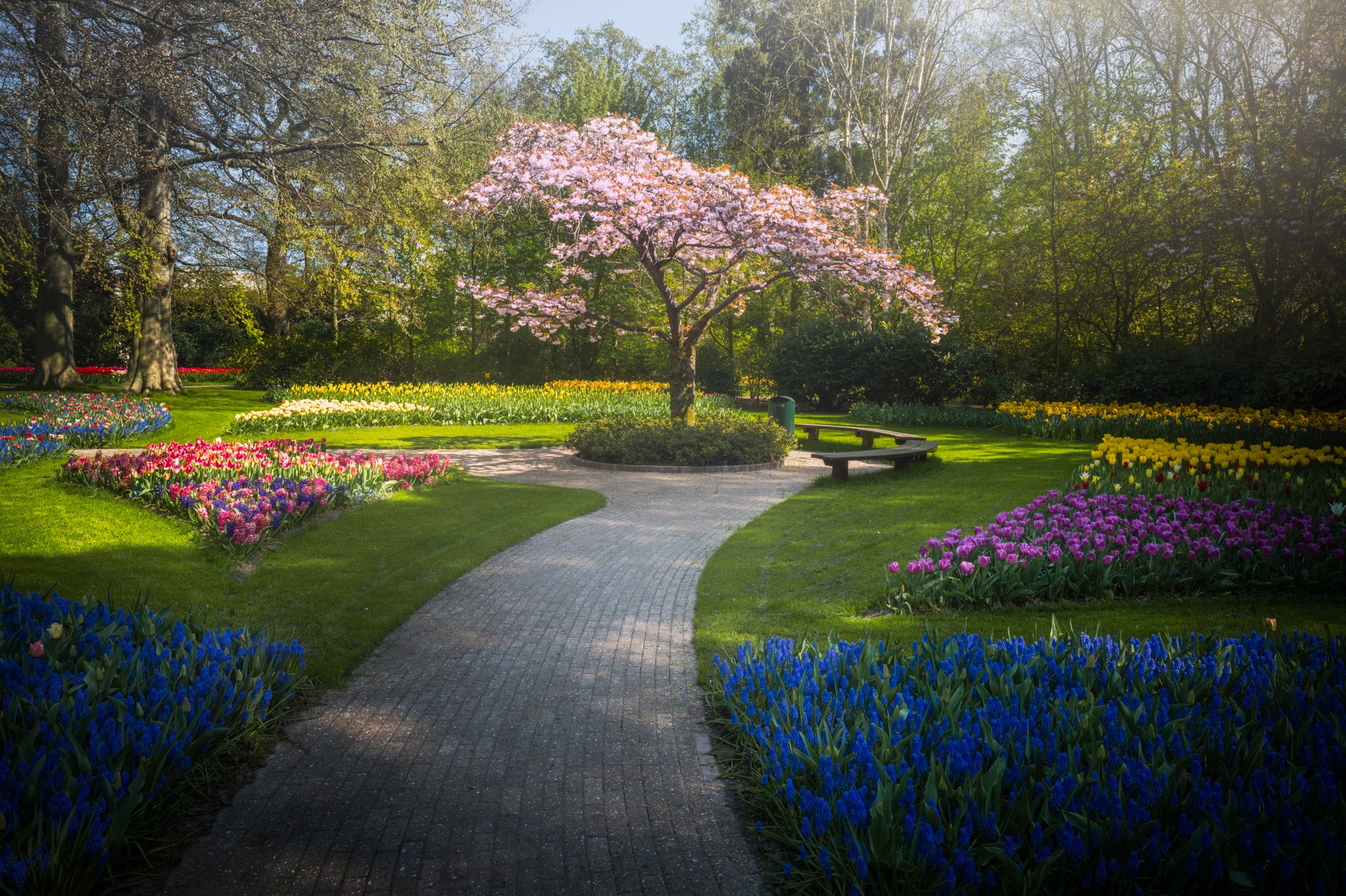 Photographer Captures Images Of The World S Most Beautiful Flower Garden With No Visitors