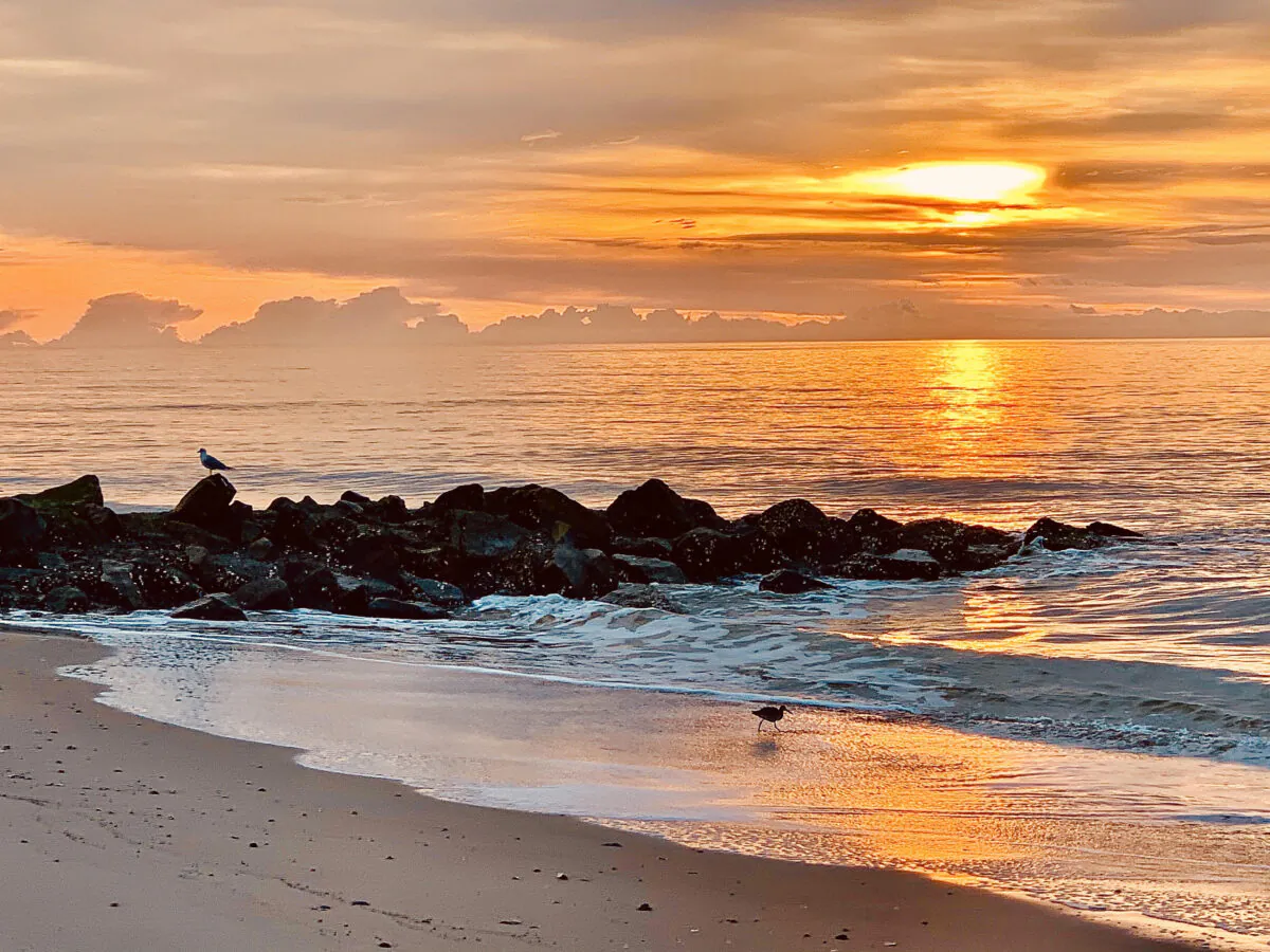 Edisto Island is still an incomparable natural paradise. (Melinda Miley)