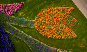 Photographer Captures Images of the World's Most Beautiful Flower Garden With No Visitors