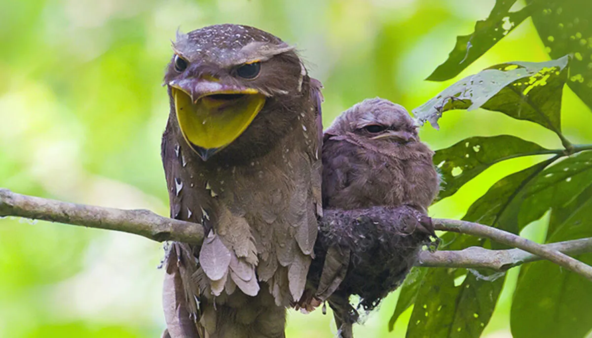 (Wang LiQiang/Shutterstock)