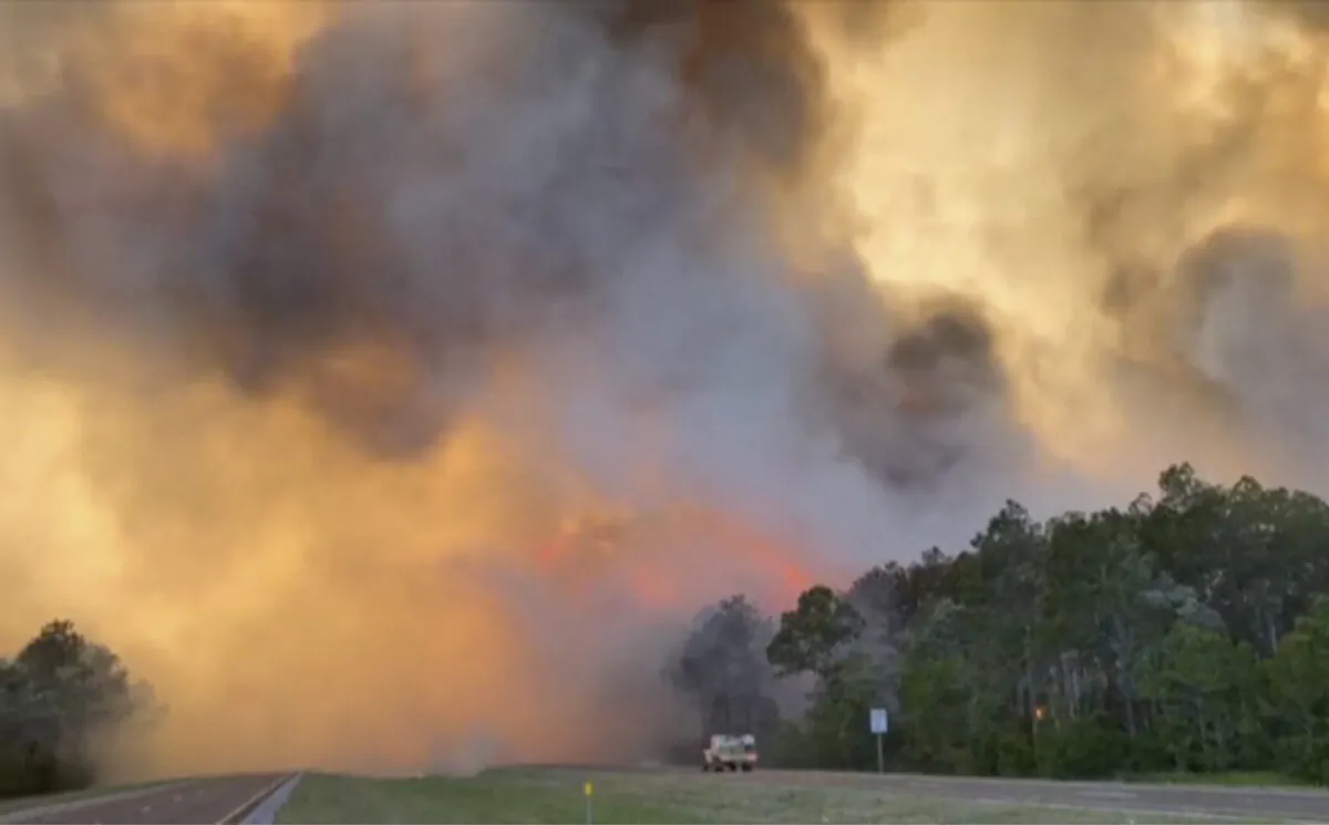 In this image made from video, fire and smoke rise from trees alongside a road in Santa Rosa County, Fla., on May 6 , 2020. (Florida Department of Agriculture and Consumer Services via AP)