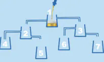 Try This Tricky Logic Puzzle Involving 1 Beer Tap and 7 Glasses: Which Glass Will Be Filled First?