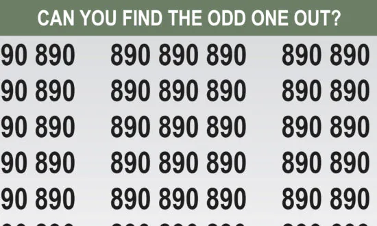 Picture Puzzles: Can You Spot the Odd One Out in Less Than 10 Seconds?