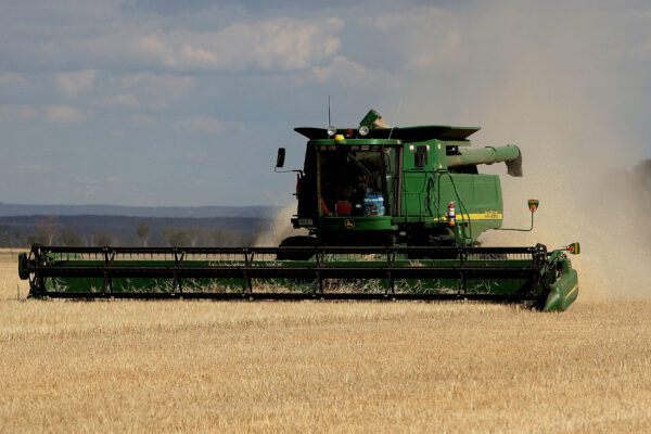 Barley harvest