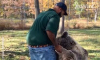 Heartwarming Moment Orphaned Bear Is Reunited With Human Friend