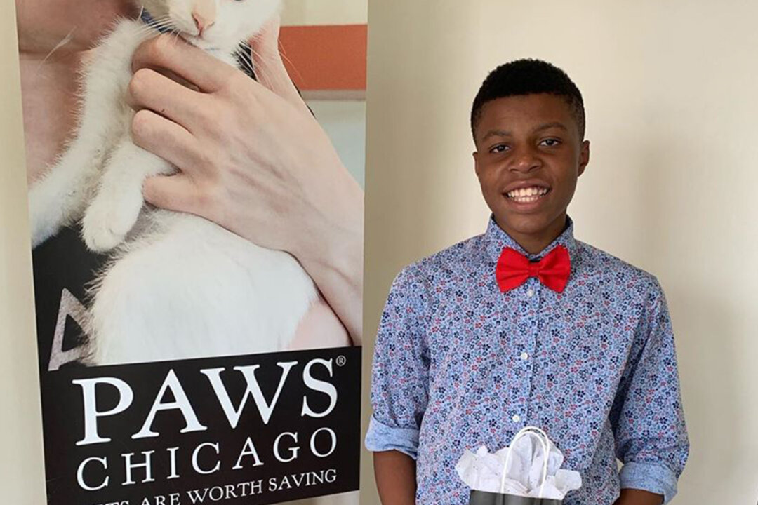 Teen Who Sews Bow Ties to Help Animals Get Adopted Now Makes Masks for ...