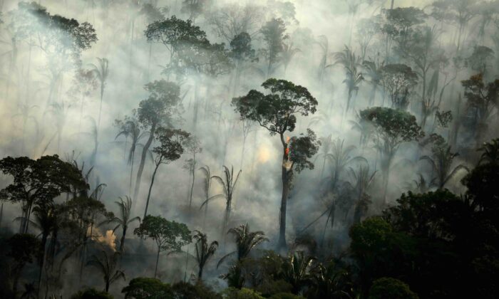 Smoke billows from a fire in an area of the Amazon rainforest near Porto Velho, Rondonia State, Brazil, on Sept. 10, 2019. (Bruno Kelly/Reuters)