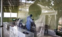African Nations Seek Their Own Solutions in Virus Crisis