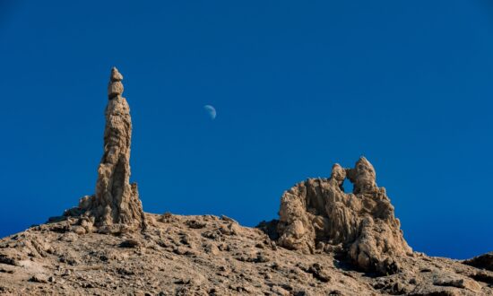 What the Story of Lot’s Wife Can Tell Us: Don’t Look Back!