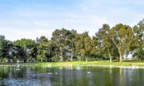 Fountain Valley Cuts Park’s Homeless Population by 80 Percent: City Councilman
