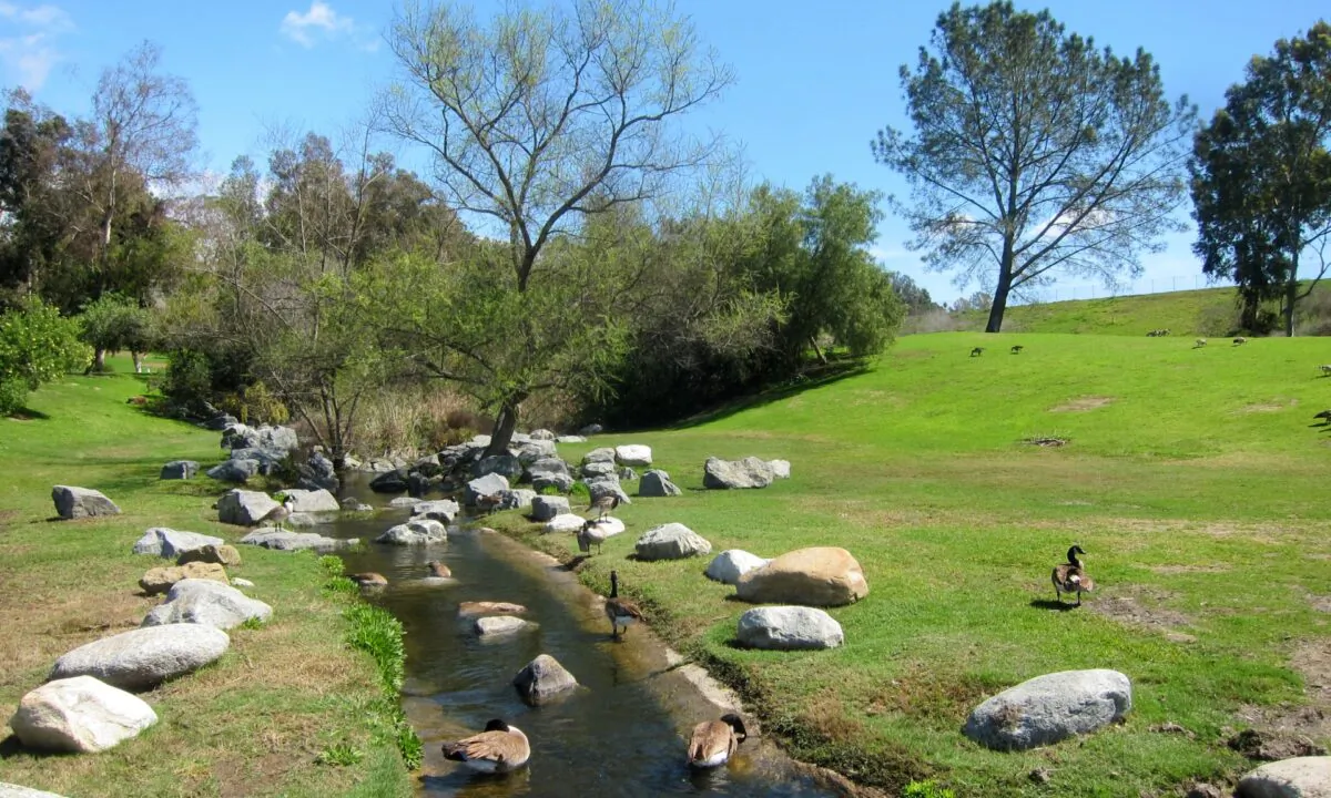 A file photo of Laguna Niguel Regional Park in Laguna Niguel, Orange County, Calif. (Wikimedia Commons) 