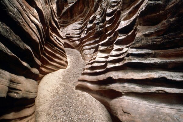 Epoch Times Photo