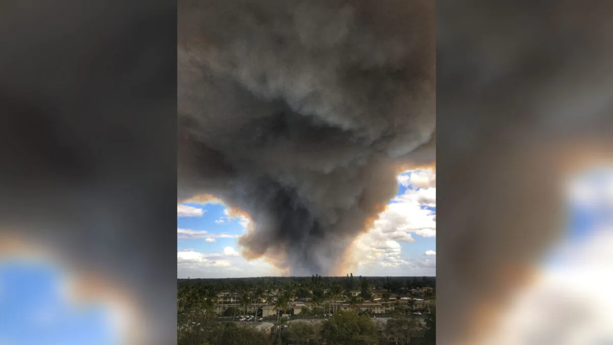 A wildfire in Naples, Fla., on May 14, 2020. (Courtesy of Florida Collier Health)