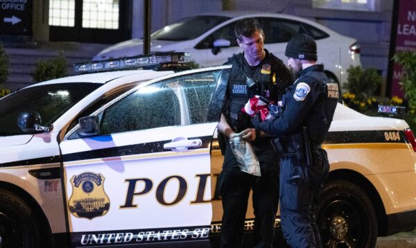 Epoch Times Photo